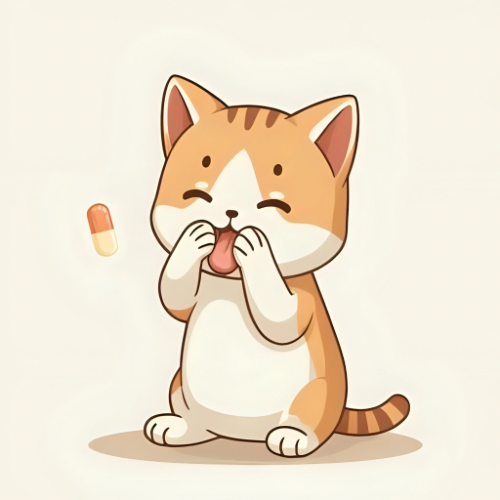 Serviço de medicação para gatos em Blumenau